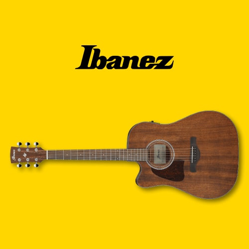 Ibanez Left-Handed Acoustic Guitars in 2024