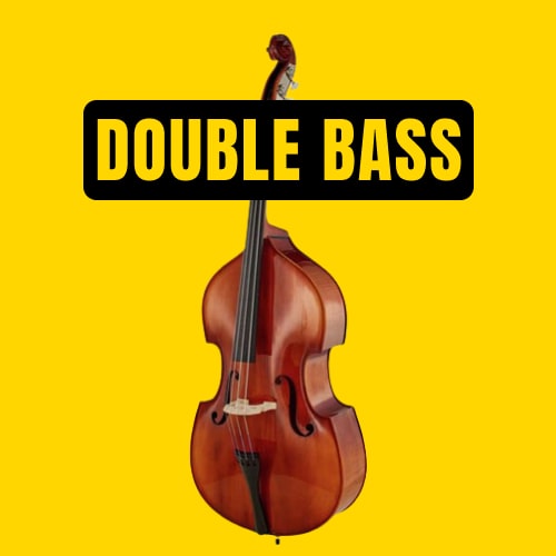 Left-Handed Double Basses